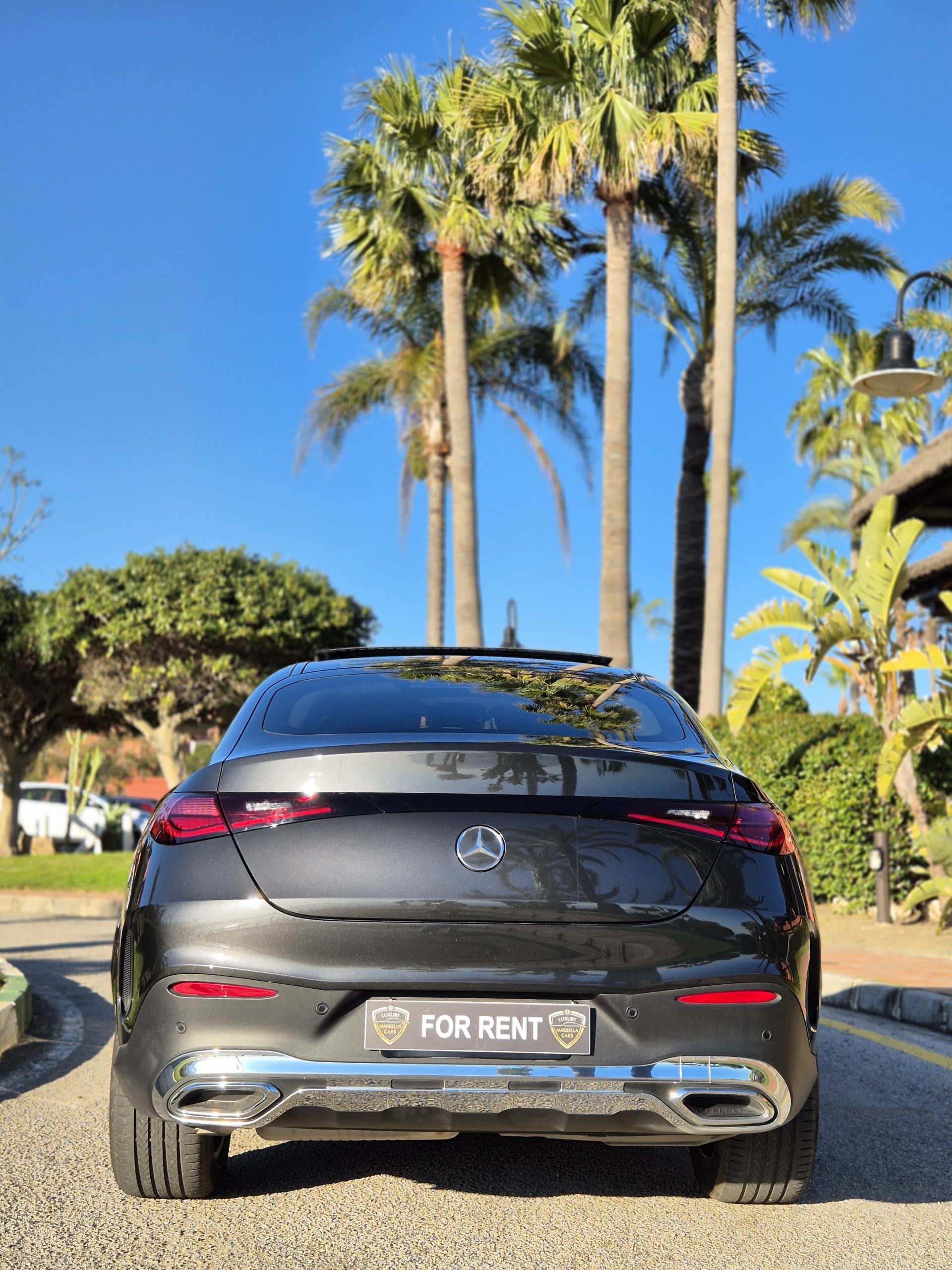 WhatsApp Image 2025-03-29 at 11.47.54 PM (2)