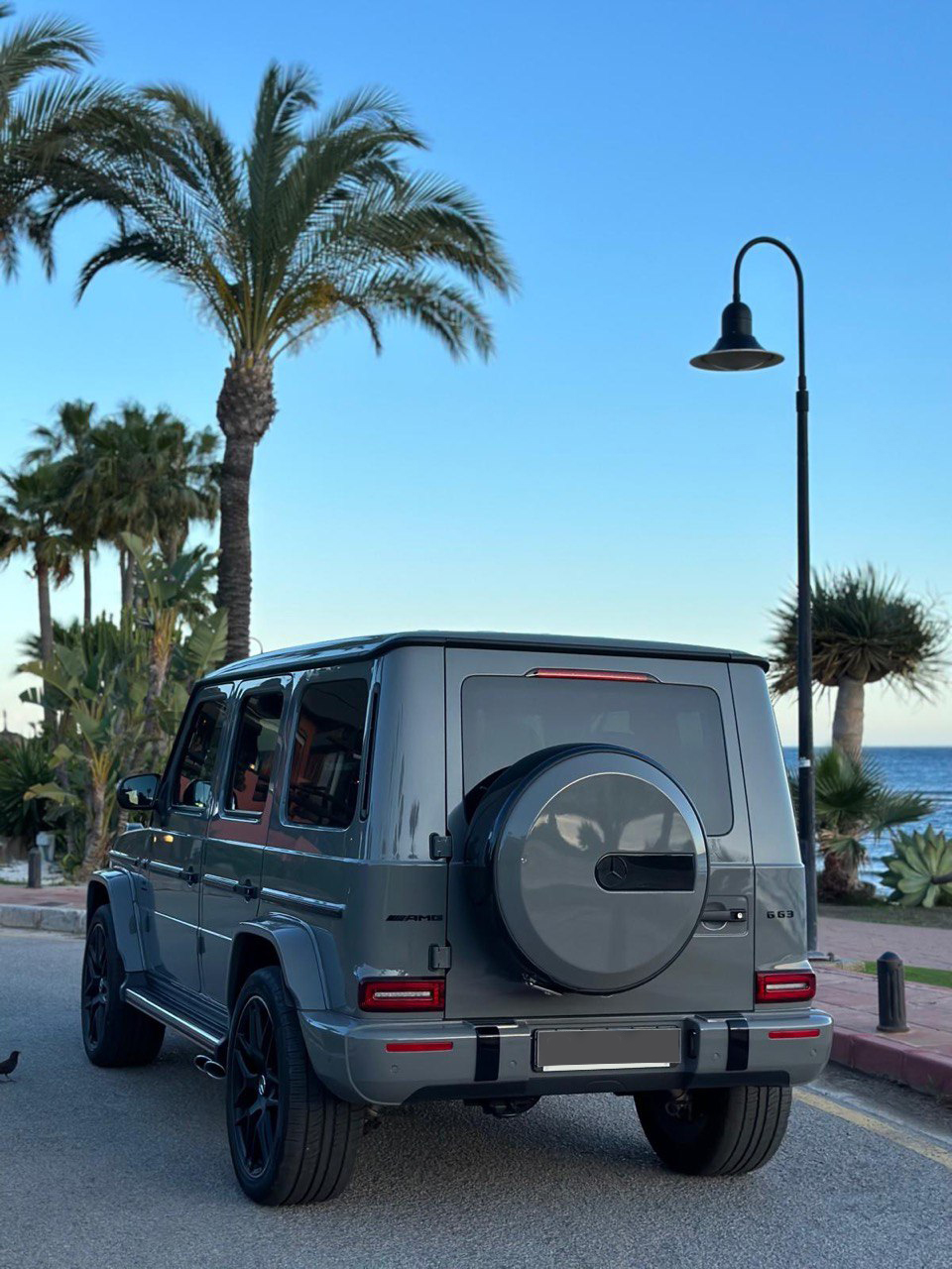 rsvrentmercamggreyJKJKXAogpYfRUo